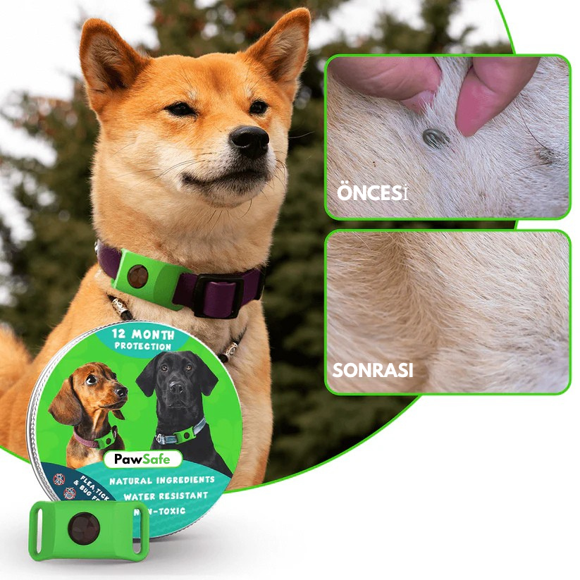 PawSafe™ Bit ve Pire Önleyici Kolye