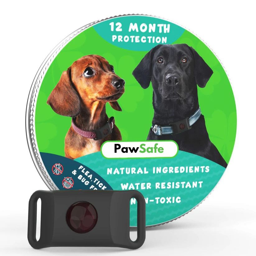 PawSafe™ Bit ve Pire Önleyici Kolye
