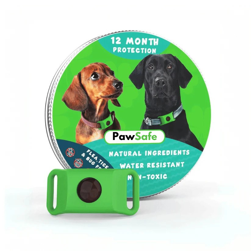PawSafe™ Bit ve Pire Önleyici Kolye