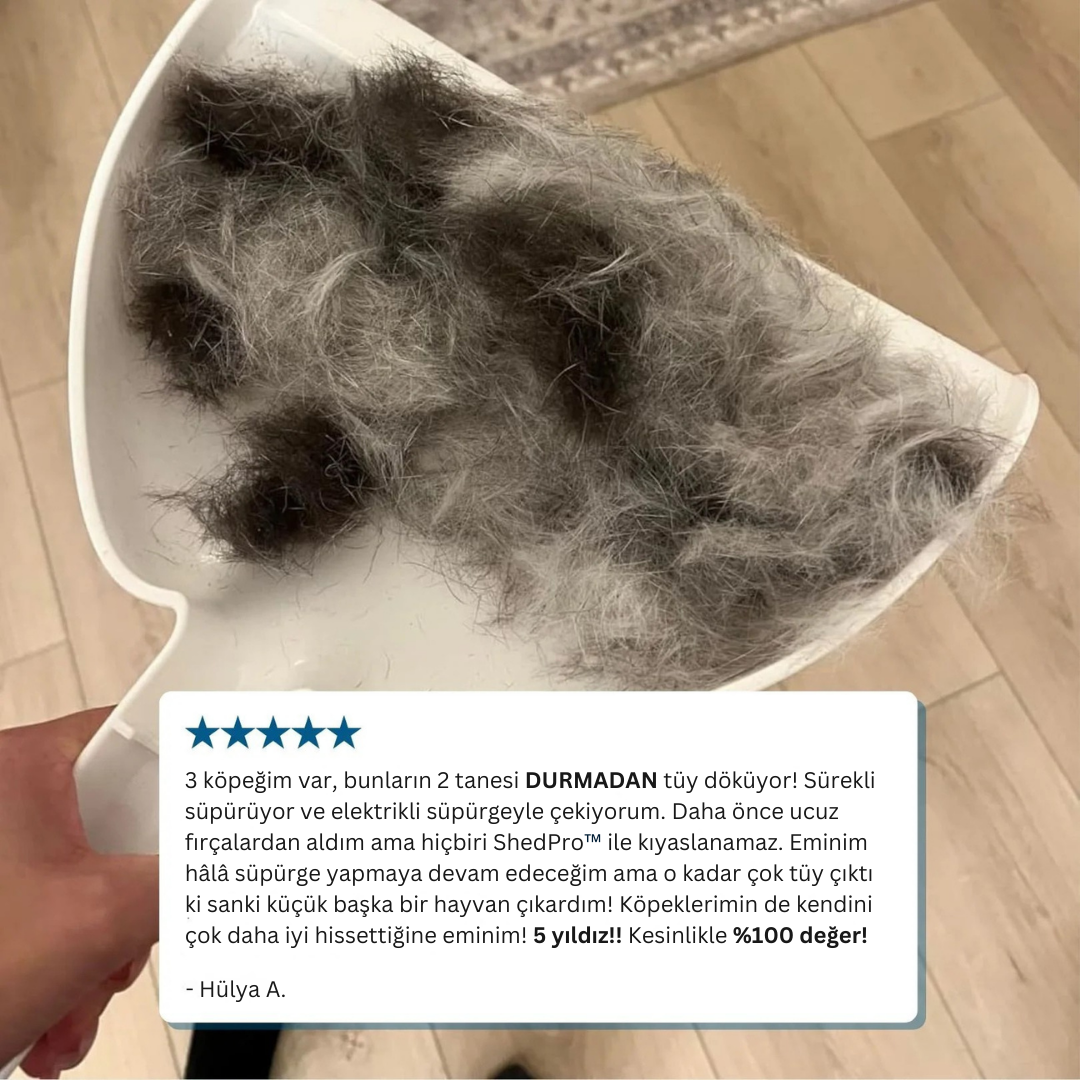 Pawsafe ShedPro 1 Numaralı Tüy Dökülme Karşıtı Kit