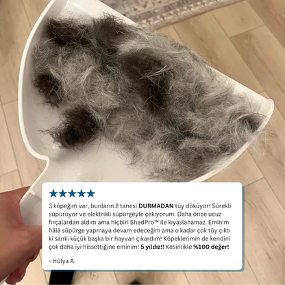 Pawsafe ShedPro 1 Numaralı Tüy Dökülme Karşıtı Kit